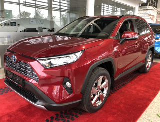 RAV4 Hybrid SUV 2.5 Hybrid Luxury Plus e-CVT