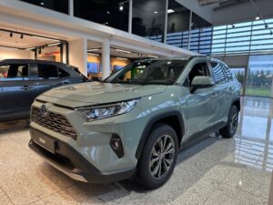RAV4 Hybrid SUV 2.5 Hybrid Dynamic Force (222 hp) 4WD e-CVT Luxury Limited komplektacija-image
